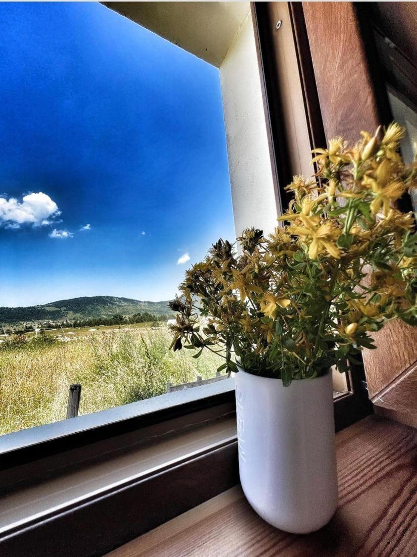 Guest House Zabljak *