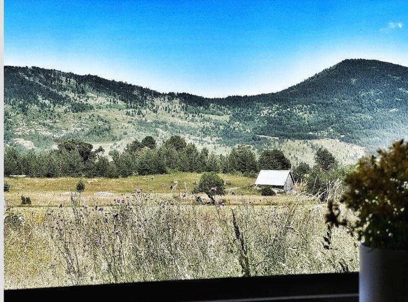 Holiday home Guest House Zabljak *